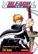 Bleach, Vol. 1