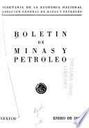 Boletín de minas y petróleo