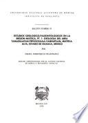 Boletín