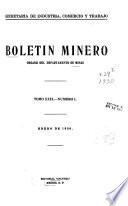 Boletin minero
