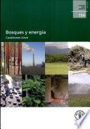 Bosques y energia