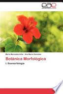 Botánica Morfológica