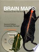 Brain Maps