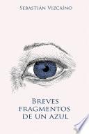 Breves fragmentos de un azul