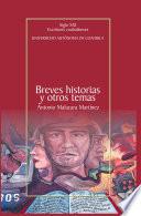 Breves historias y otros temas
