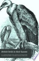 British Birds in Their Haunts