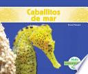 Caballitos de mar (Seahorses) (Spanish Version)