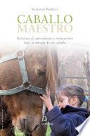 Caballo maestro: historias de aprendizaje y reencuentro bajo la mirada de un caballo