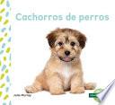 Cachorros de Perros