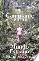 Caminante en un Mundo Estraño