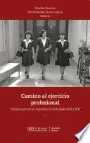 Camino al ejercicio profesional
