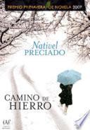 Camino de hierro