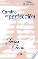 Camino de perfección