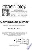 Caminos en el mar