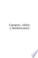 Campos, cielos y flamboyanes