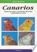 Canarios