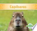 Capibaras (Capybaras) (Spanish Version)