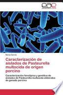 Caracterización de aislados de Pasteurella multocida de origen porcino