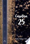 Carretera 25