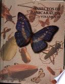 Catálogo de los insectos y artropodos terrestres de Nicaragua
