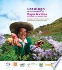 Catalogo de variedades de papa nativa de Chugay, La Libertad - Peru.