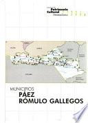 Catálogo del patrimonio cultural venezolano, 2004-2005: Municipios Paez, Romulo Gallegos, AP 04-06