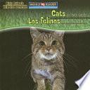 Cats Are Night Animals / Los felinos son animales nocturnos