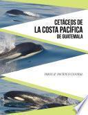 Cetáceos de la Costa Pacífica de Guatemala. Parte II: Pacífico Central