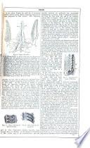 Chambers's encyclopædia