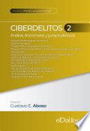 Ciberdelitos 2