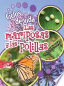 Ciclos de Vida de Las Mariposas Y Las Polillas: Butterflies and Moths
