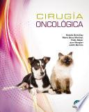 Cirugía oncológica