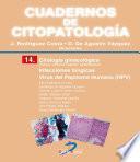 Citología ginecológica. Infecciones fúngicas. Virus del papiloma humano