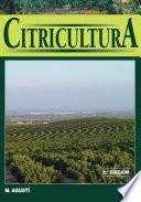 Citricultura