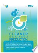 Cleaner (Sustainable) Production