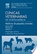 Clínicas Veterinarias de Norteamérica 2008. Volumen 38 no 6: Medicina de pequeños animales. Actualización en el Tratamiento del Dolor