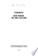 Coihueco