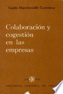 Colaboración y cogestión en las empresas