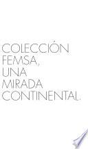 Colección FEMSA, Una Mirada Continental