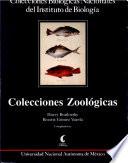Colecciones Zoologicas: Colecciones Biologicas Instituto Biologia