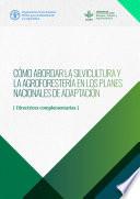 Cómo abordar la silvicultura y la agroforestería en los Planes Nacionales de Adaptación