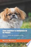 Cómo Aumentar la Inteligencia de Un Pekinés