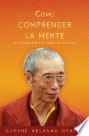 Cómo comprender la mente