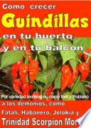 Como crecer guindillas en tu huerto y en tu balcón