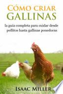 Cómo criar gallinas: la guía completa para cuidar desde pollitos hasta gallinas ponedoras