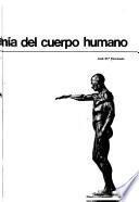 Cómo dibujar la anatomia del cuerpo humano