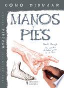 Cómo dibujar Manos y pies