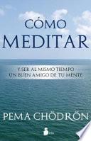 Como Meditar: Y Ser al Mismo Tiempo un Buen Amigo de Tu Mente = How to Meditate