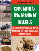 Cómo montar una granja de insectos