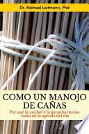 Como un Manojo de Cañas